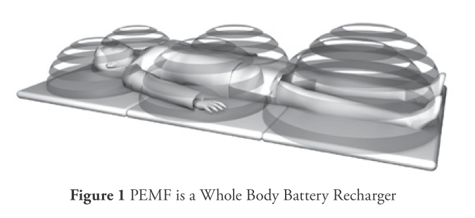 Unlocking The Mystery Of Pemf Frequencies Benefits Risks Revealed - gn1hga0